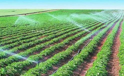 亚洲插进去逼视农田高 效节水灌溉